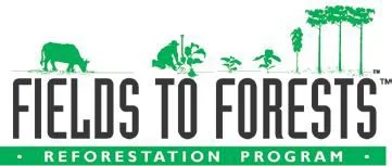 Home front - fieldstoforests