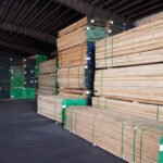 Poplar - 2016-02-18-11.4211-150x150