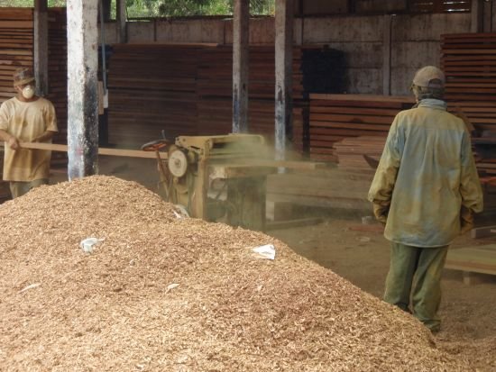 Milling Ipe Logs - ipe-mill-2a