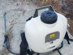 Cleaning and Refinishing a Cumaru dock - item3-1-300x225